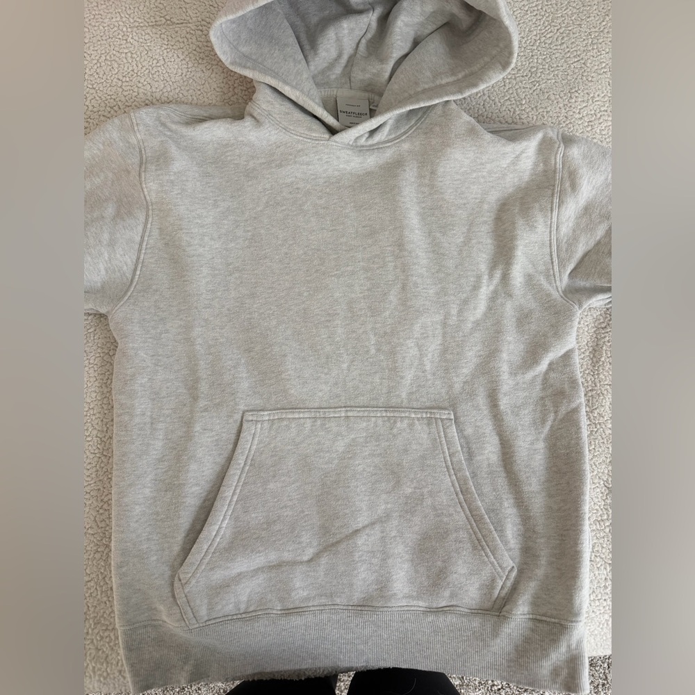 FINAL PRICE BEFOFE DONATION- 
Aritzia Cozy Sweatfleece Perfect Hoodie - Picture 5 of 6
